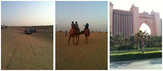 デザートサファリ、キャメルライディングなどを楽しむことが出来る